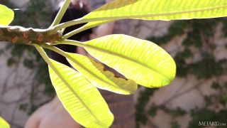 porn clip 3 MetArt - Azura Grace Blooming Point - 2160p on femdom porn dirty fetish porn-5