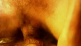 7431 Fantasie Auf Pelz - Deltaofvenus-7