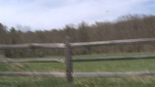 Ball busting delight - Goddess Brianna.-9