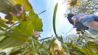 online xxx clip 48 foot femdom femdom porn | CANADIAN AND ASIAN GIANTESS FANTASY – Unaware In A Dandelion Jungle EXTREME POV – Trilogy Collection | femdom joi-2