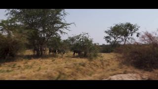 Video Luna Okko  Pornhub E28  SUNNY SEX IN AFRICA  LUNAS JOURNEY 10...-7