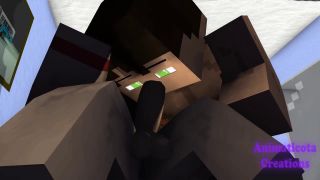 Animaticota - Late game night with the boys - Minecraft Gay Sex Animation-3
