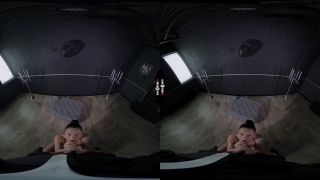 Darkroomvr Good Girl Loves The Leash-2