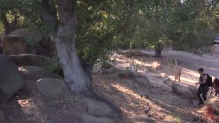 Demi Sutra - Tied Up and Stranded / 540p / Demi Sutra, Mr...-3