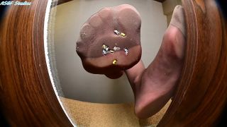 free online video 1 ASGF_Clips – Paisley and Brook deal with layoffs! I’m just going to squeeze all of you, it would be much easier | feet | feet porn foot fetish porn-1