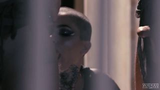 Award Winners 3 (2025).-0