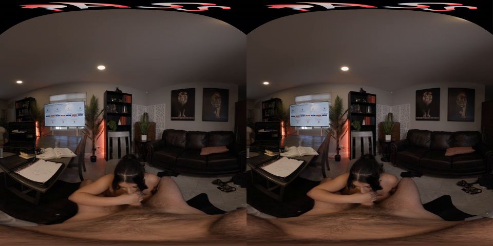 Putting The D in Diversity - Smartphone VR