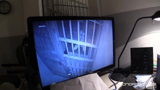How to Lock Down a Greyhound - 06.15.21 Video Sex Downlo...-7