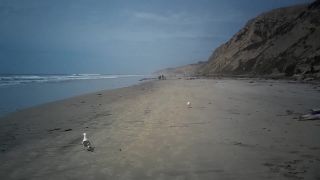 online xxx video 29 03262019-beachlevel-random stroll 1 | hidden camera | webcam -1