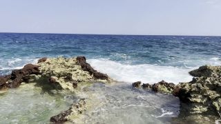 xxx video 18 hardcore milf anal porn Monika Fox - Naked Monika Fox Walking Along Reef Beach Found A Big Octopus Dildo And Fucked Her Holes - MonikaFoxxx, PornHub, monika fox on squirt-9
