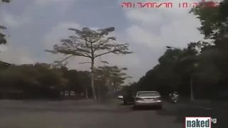 xxx video clip 3  webcam | Naked News | hidden camera-1