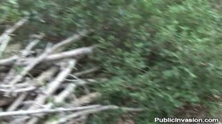 Chantal FerreraTiger In The Wood-0
