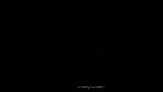 PSYCHOTHRILLERSFILMS - Ashley Laneproudlyownedpet-27-05-2021-1