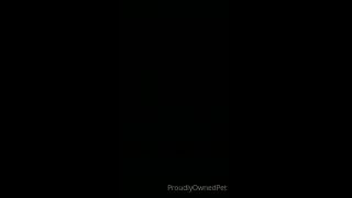 PSYCHOTHRILLERSFILMS - Ashley Laneproudlyownedpet-27-05-2021-2