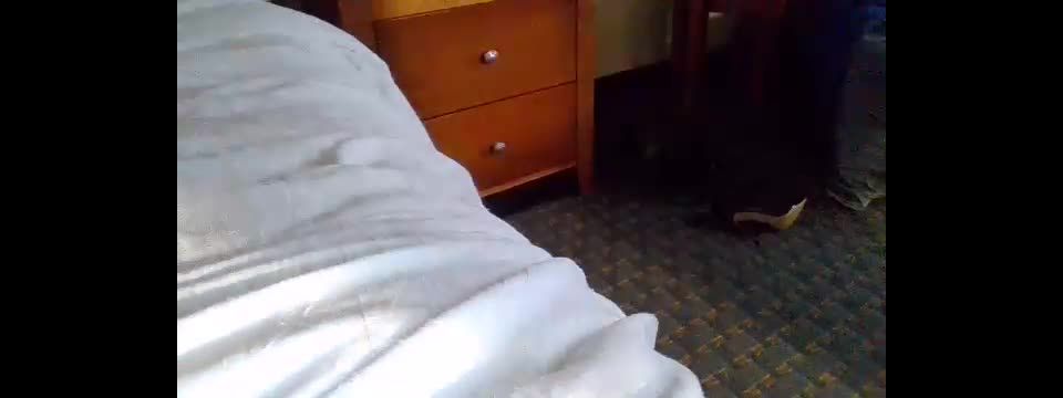 Shemale Webcams Video for March 30, 2020 – 15 Webcam!