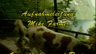 7136 Heidi 4 Mosleins Bergwelt-1