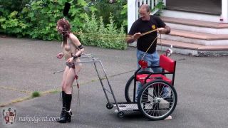 House of Gord15 03 27 Kitty - The Cart And The Crook-Lock System (Installation)-9