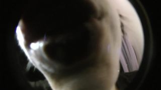 online video 23 marina crush fetish femdom porn | Goddess Kendall – POV Weekend Kisses | femdom pov-1