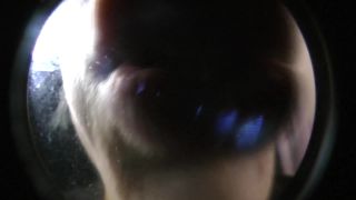 online video 23 marina crush fetish femdom porn | Goddess Kendall – POV Weekend Kisses | femdom pov-6
