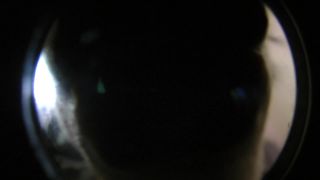 online video 23 marina crush fetish femdom porn | Goddess Kendall – POV Weekend Kisses | femdom pov-7