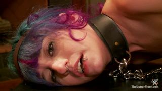 Proxy Paige , Coral Aorta And Owen Gray - Anal Acrobat Pr...-3