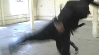 White avenger is taken humiliated fucked 480p Sex Clip Vi...-6
