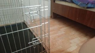 Dominatrix Nika - Your Place is in the Cage unless I Fuck you in Ass - Strapon fucking-8