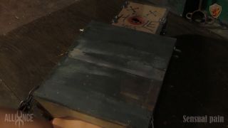 S e n s u a l P a i n - Abigail Dupree - Hole in a Box - BDSM-1