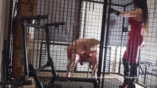 online xxx clip 19 Torturing My Caged Pig, bdsm sites on bdsm porn -0