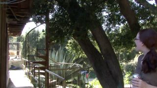 Holly Randall 5de1b9217362f14a78948-1