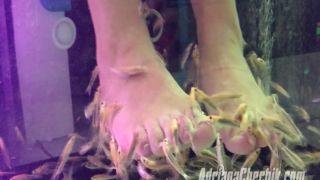 online xxx clip 38 Adriana Chechik Clip Ok4LCx9g0ECtt0Csv1ZyPu7NrIJf2Jb3 [Onlyfans] (FullHD 1080p) on fetish porn sock fetish-3