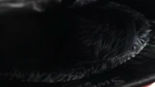 porn clip 1 Moanavoglia – Moanavoglia – 1113 Ti Controllo - fetish - fetish porn black femdom facesitting-7