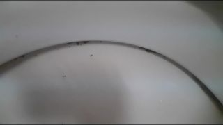 adult video clip 38 cybill troy femdom pov | Goddess Natalie - Toilet sniffer humiliated | toilet-1