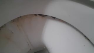 adult video clip 38 cybill troy femdom pov | Goddess Natalie - Toilet sniffer humiliated | toilet-3