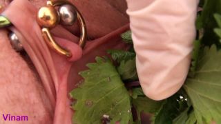 nettles Sex Clip Video Porn Download Mp4-4