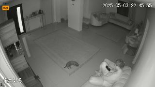 Webcam 1654 Kuwait Al Ahmadi g8cCGk4ba-2