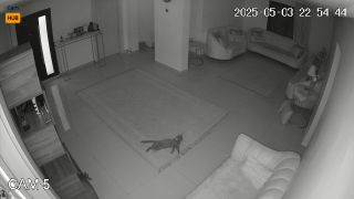 Webcam 1654 Kuwait Al Ahmadi g8cCGk4ba-9