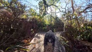 SparksGoWild - Creampie in the Jungle. Fun in Thongs! [1080p] - Teen-8