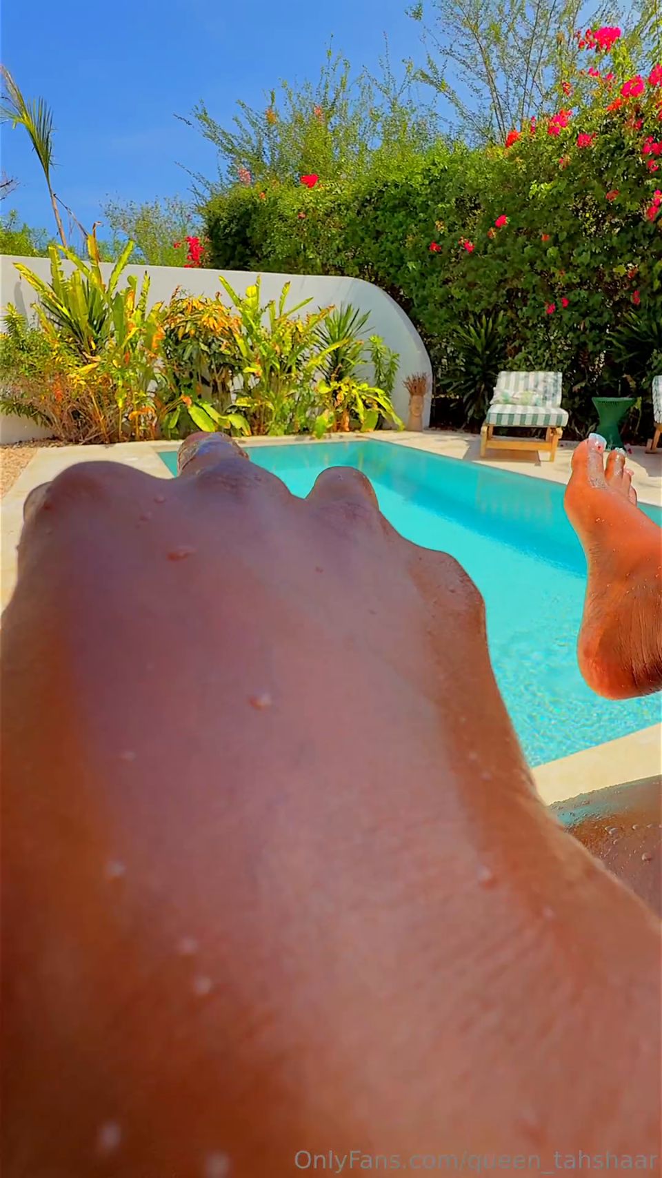 queen tahshaar qt042