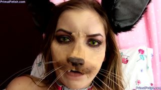 Cat Transformation Sex Clip Video Porn Download Mp4-7
