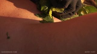 Berry Fairy Queensnake Studio Quick View Porn - New Sex ...-7