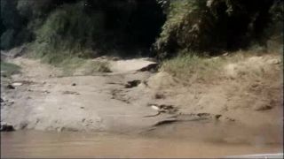 Die Frau vom heißen Fluss (1978) - (Vintage)-1