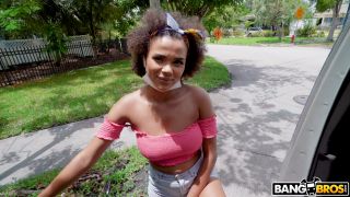 BangBus: Alina Ali's Hot Ebony Adventure with Preston Parker-2