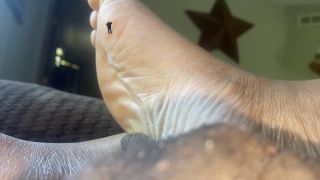 online adult video 7 MXDominion aka Crush Goddess - Giantess Special Effects - Playful Teenie Climbing All Over Giantess Mxdominions Giant Soles Giantess Shrinking Fetish Foot Worship - FullHD 1080p on pov grandma foot fetish-7