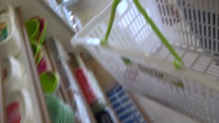 Downbluse 57 - 15312150,  on voyeur -2