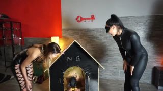 Dog Castration Video Sex Download Porn-4