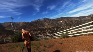 Greyhound's Brutal Pony Training Download New Porn Video ...-2