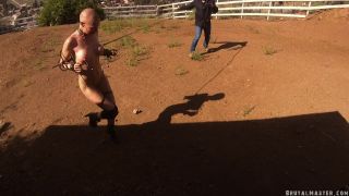Greyhound's Brutal Pony Training Download New Porn Video ...-4