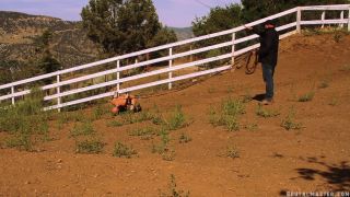 Greyhound's Brutal Pony Training Download New Porn Video ...-5