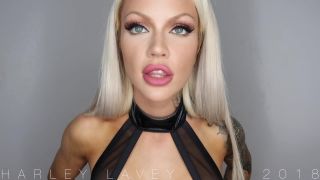 adult video clip 34 Harley LaVey - Beta Tax Ripoff | findom | femdom porn bread fetish-3